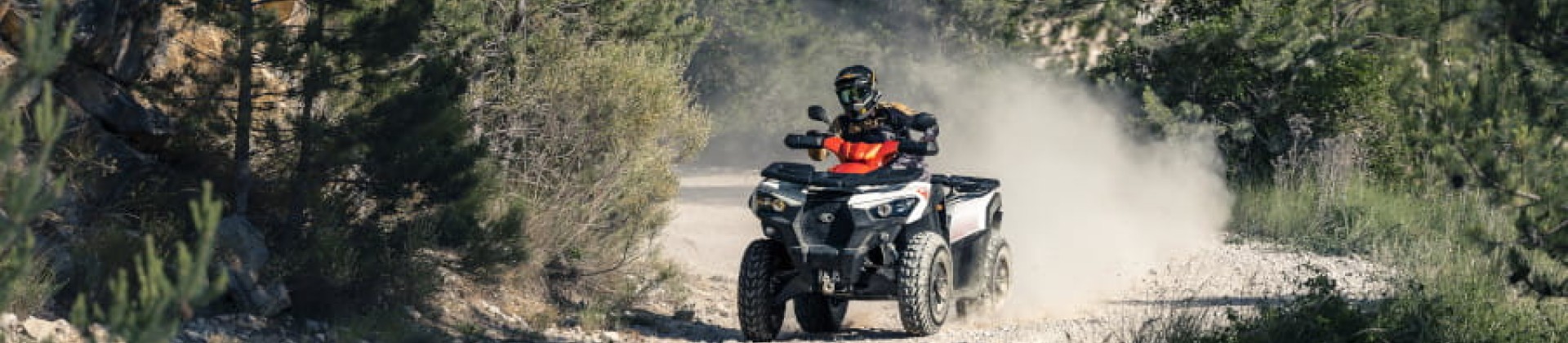 Quad, SSV, nos offres