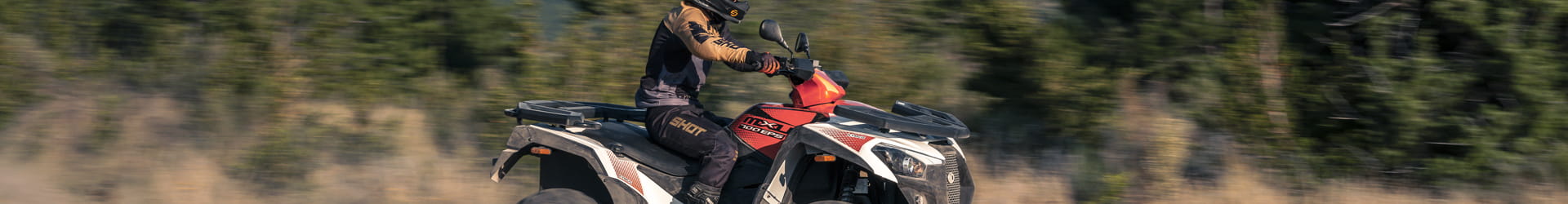 Les bonnes affaires en Quads, SSV
