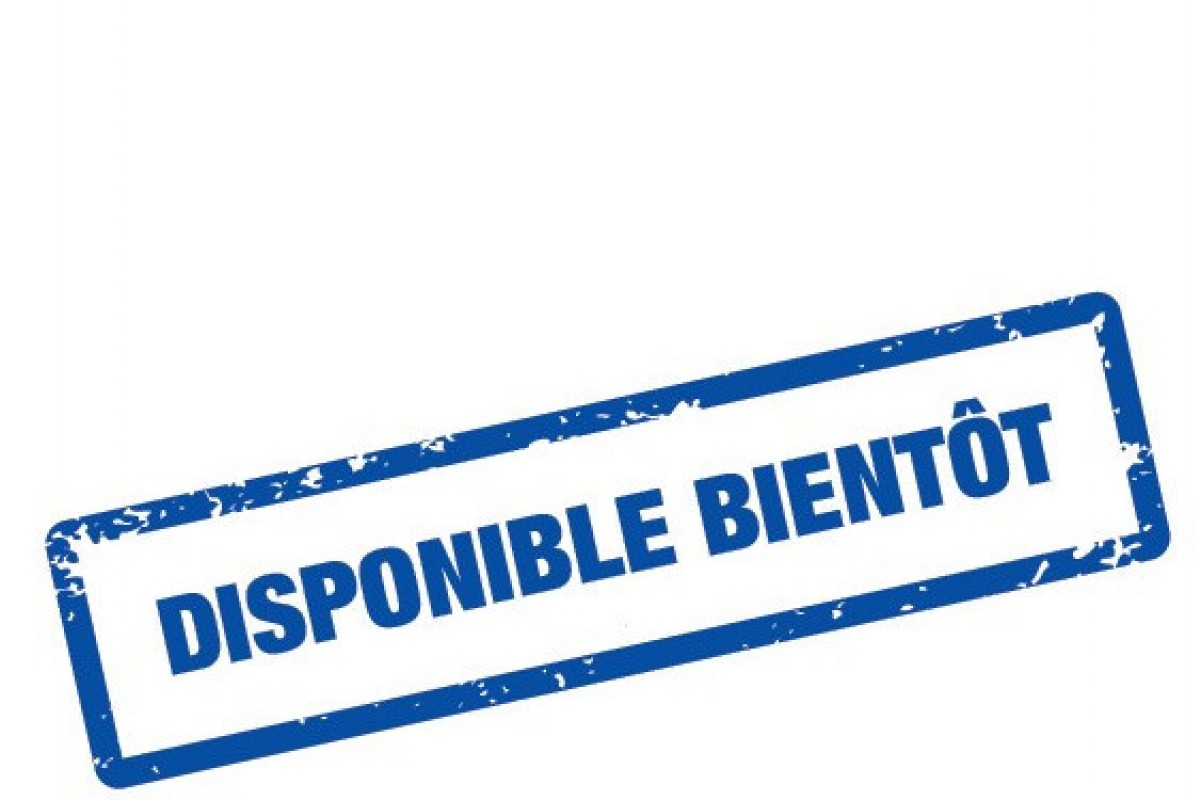 Quad Kymco MXU 300 I